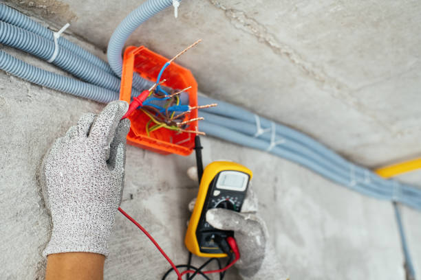 Best Ceiling Fan Installation Electrician  in Flora, AL